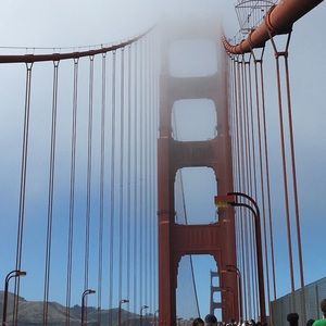 Meet your Posher, Metzly